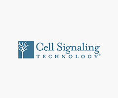 Cell Signaling Technology