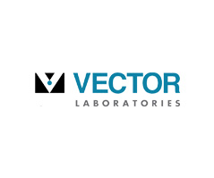 Vector