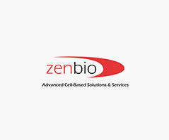 Zenbio