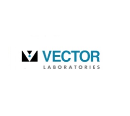 VECTOR
