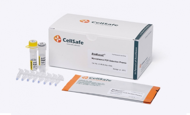 (검출-for R&D)BioMycoX® Mycoplasma PCR Detection Premix