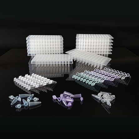 PCR Tube & Plate