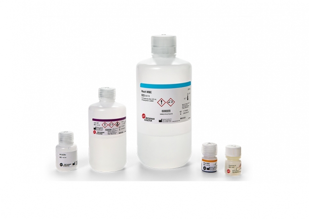RNAdvance Viral & RNAdvance Viral [ XP바이러스 RNA 추출 ]