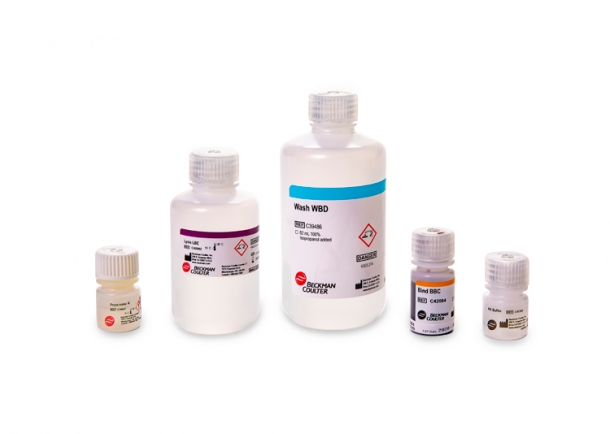 RNAdvance Tissue [ 조직에서 RNA 분리 ] 