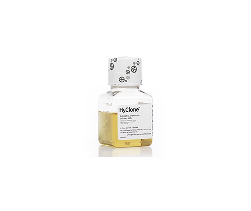 Antibiotic Antimycotic Solution, 100ml