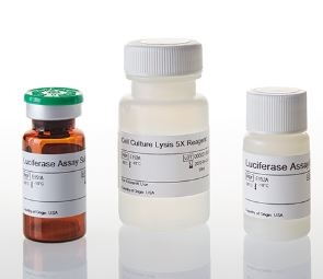 Luciferase Assay System ( Firefly )