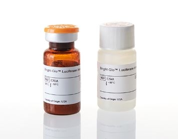 Bright-Glo™ Luciferase Assay System ( Firefly )
