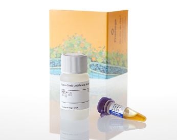 Nano-Glo® Luciferase Assay System