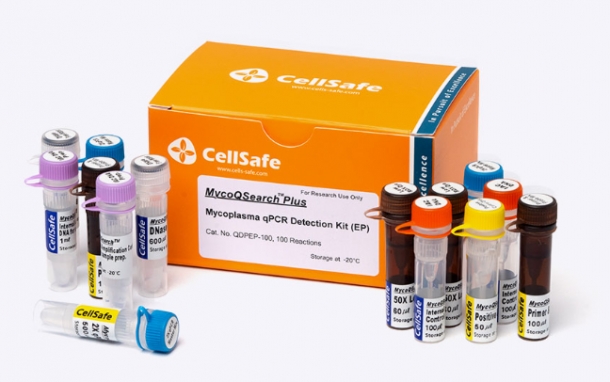 (검출-for Validation)MycoQSearch™ Plus Mycoplasma qPCR Detection Kit