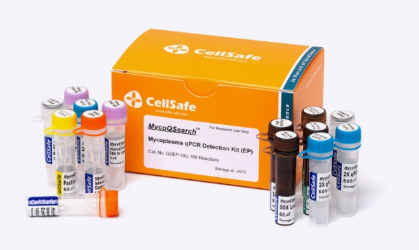 (검출-for Validation)MycoQSearch™ Mycoplasma qPCR Detection Kit